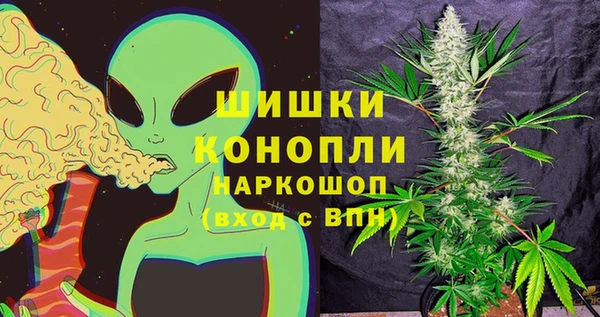дживик Балахна