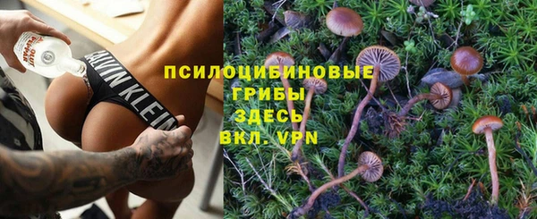 дживик Балахна
