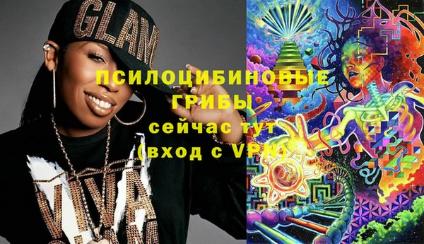 дживик Балахна
