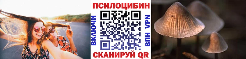 где продают наркотики  Белый  Галлюциногенные грибы Magic Shrooms 